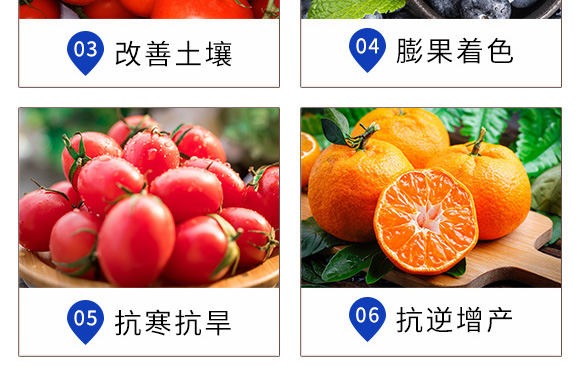 ��������-Ӣ���~��_07