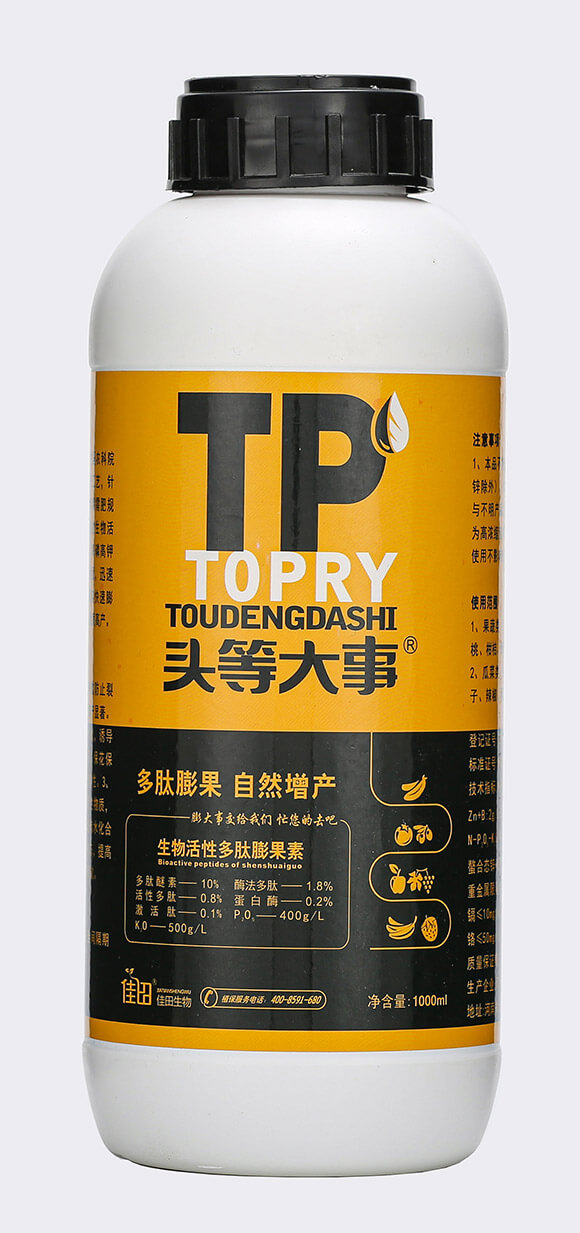 �������-�^�ȴ���-��������5