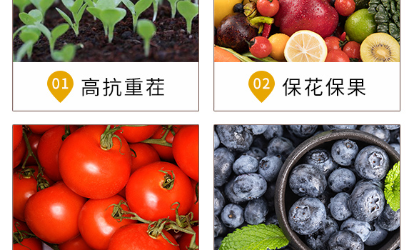 ��������-�r�t(y��)��-�_��ţ_05