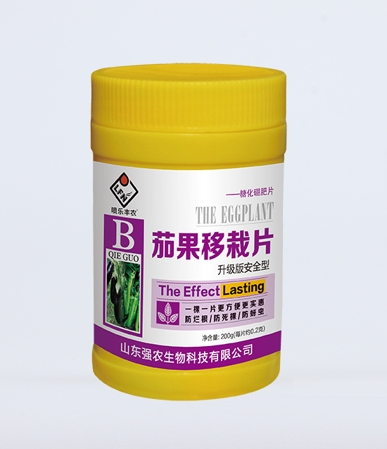 �ѹ�����Ƭ1