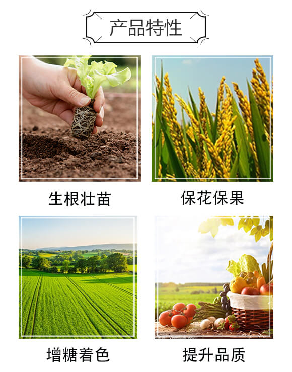 ��~����ԭ�{-ϲ�~-�ŵ�-��ķɳ_03