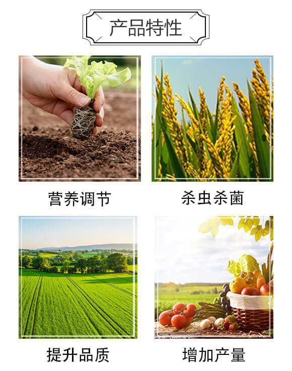 �V�Vͨ������߮a(ch��n)��Q����-�|����-���䌍(sh��)�I(y��)_03