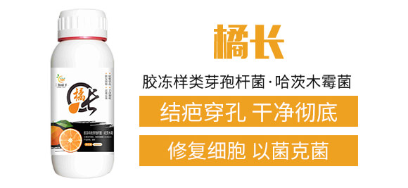 �z�����ѿ�ߗU��������ľù��-���L-���w����_02