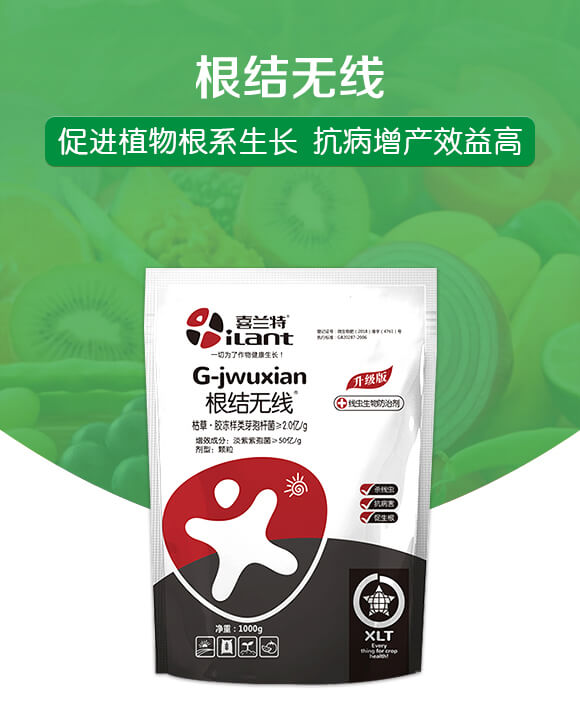 ���Y(ji��)�o��-ϲ�m��_01