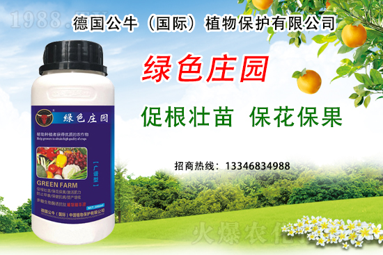 草莓著色不良到底是哪些原因？草莓著色不良又該如何避免？