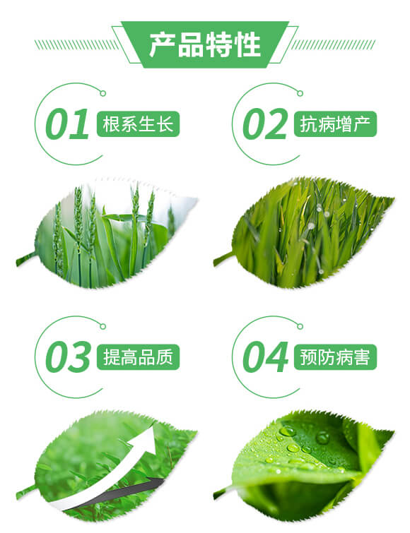 ���Y(ji��)�o��-ϲ�m��_02