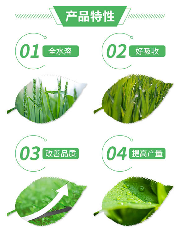 ��(f��)�����27-16-10+6-�����S_02