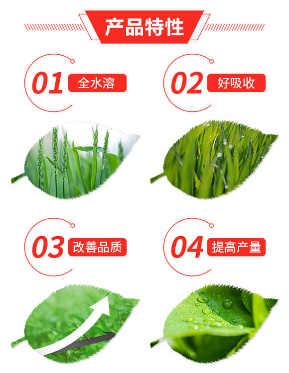 ��(f��)�����20-16-8+10-����(l��)�S_02