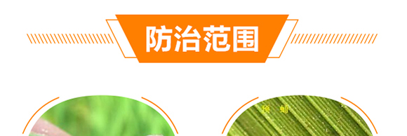 ֲ���������AҺ-��̩��_09