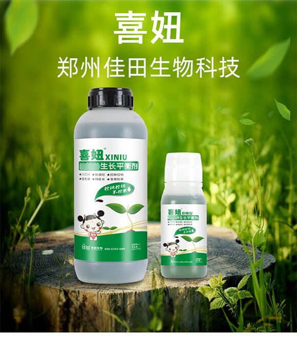 ���I(y��ng)�B(y��ng)���L(zh��ng)ƽ�℩-ϲ�-��������_01