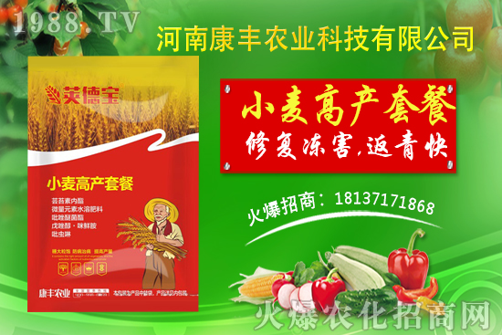 С���߮a�ײ��ܽ�QС����Щ���}��С���߮a�ײ�ʹ�÷���!