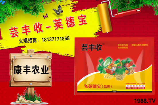 冬季要不要給小麥澆越冬水？小麥冬灌什么時候合適？