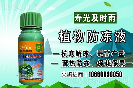 今日小麥價格上漲！到底會漲到多少錢一斤？