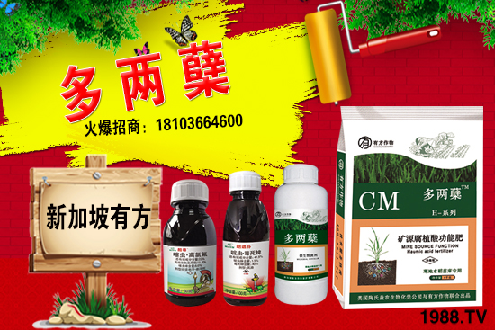 2021葡萄柚種植前景如何？葡萄柚和普通柚子有何區(qū)別？