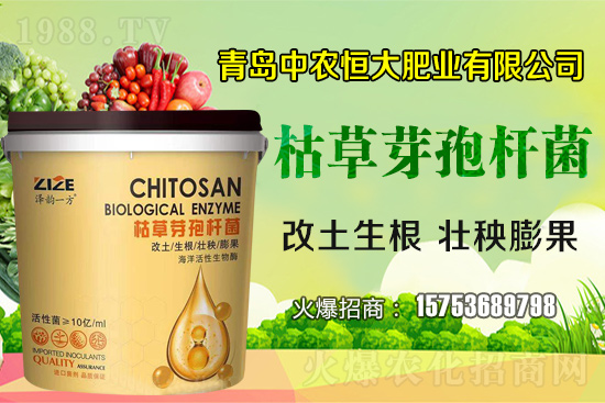 �ݲ�ѿ�ߗU������ǡ����С��᣿�ݲ�ѿ�ߗU�����w�������˽����