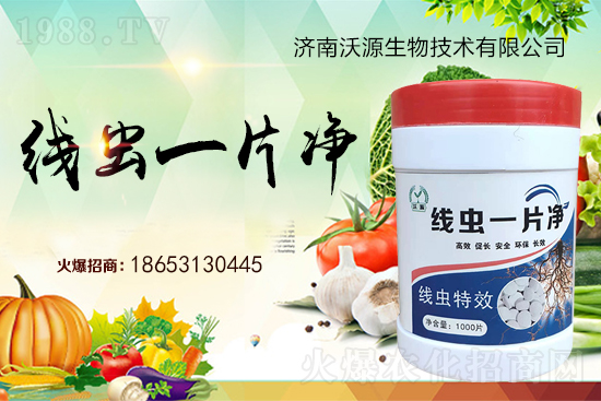 ���Y(ji��)���x(ch��ng)�y���������ξ��x(ch��ng)�����x(ch��ng)һƬ����