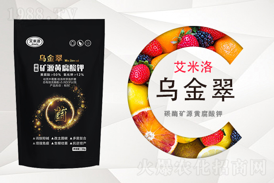 ���؃r�������10��16�ո������؃r������