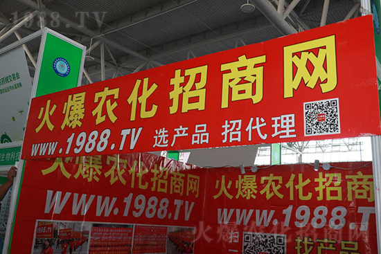 ��s���2021ɽ�|ֲ����(hu��)���𱬾W(w��ng)��������ʢ�e��