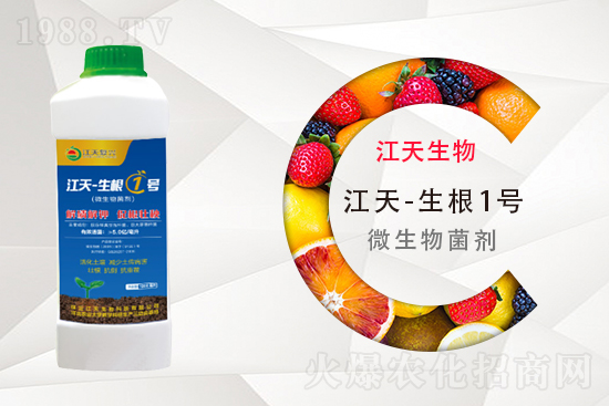 ⛷ʶ����Xһ����11��11�ո���⛷ʃr������