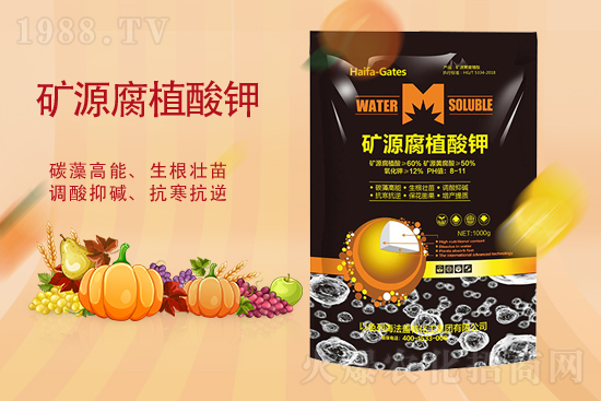 2021��11��3��⛷ʃr�������߄�