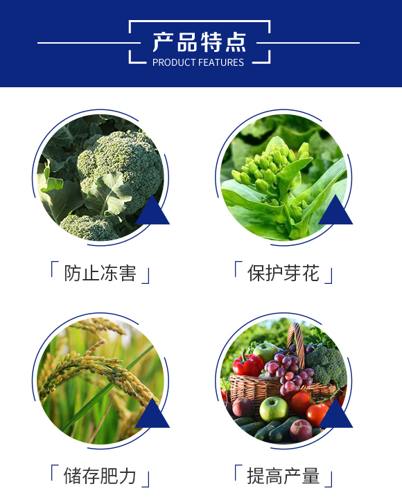 ����-꿾����F_03