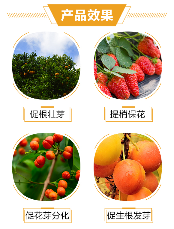 護(hù)果國(guó)際3_03