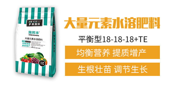 �o(h��)�����H1_02