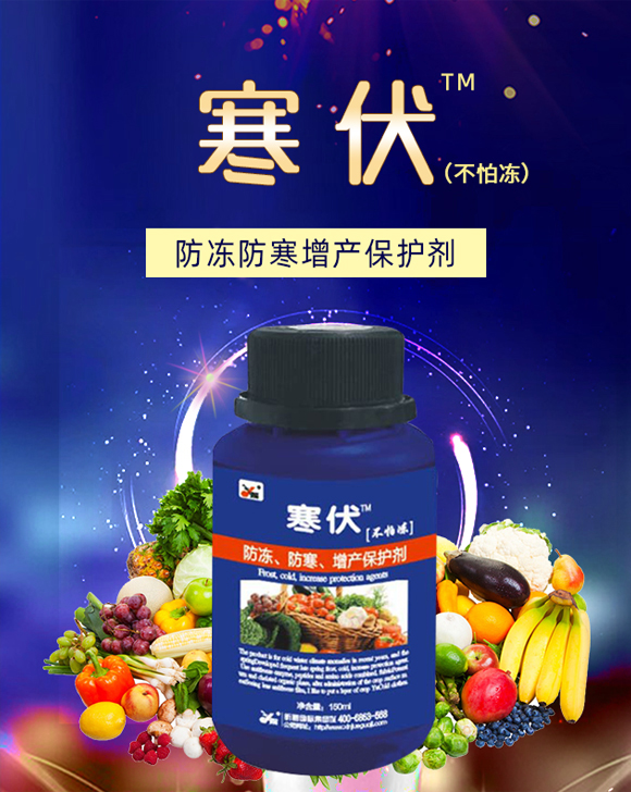 ����-꿾����F_01