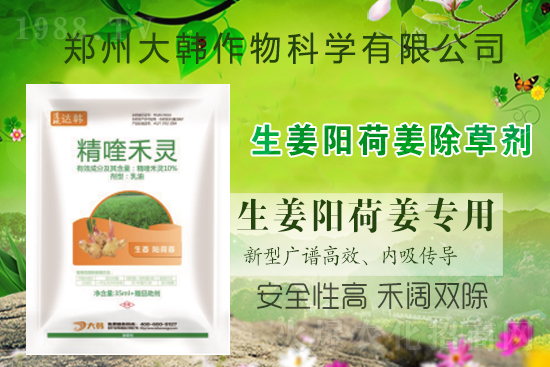 ��ꖺɽ���ô���������ش�ʲô���݄�����ꖺɽ����ݷ�����ע�����