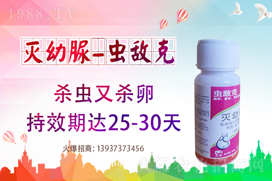 ���x���r��