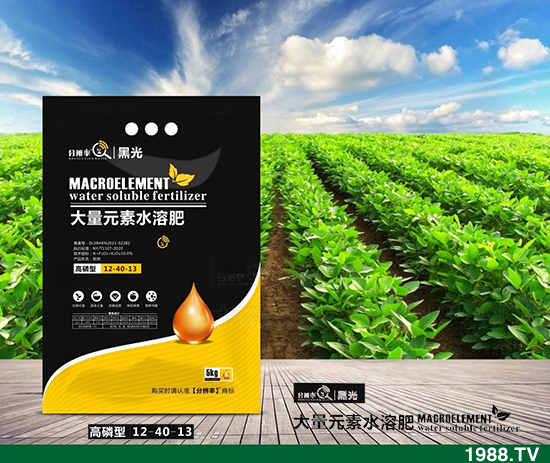 ����(w��n)�\(y��n)����2021.12.31����������@�r(ji��)��