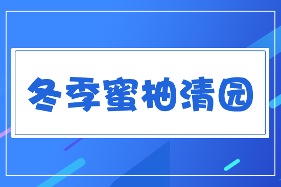 冬季蜜柚清園