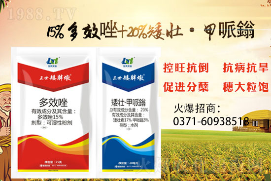 С����������(sh��)���ɓ������I(y��)������Ч��������