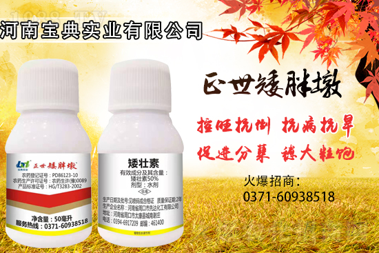 С����������(sh��)���ɓ������I(y��)������Ч��������