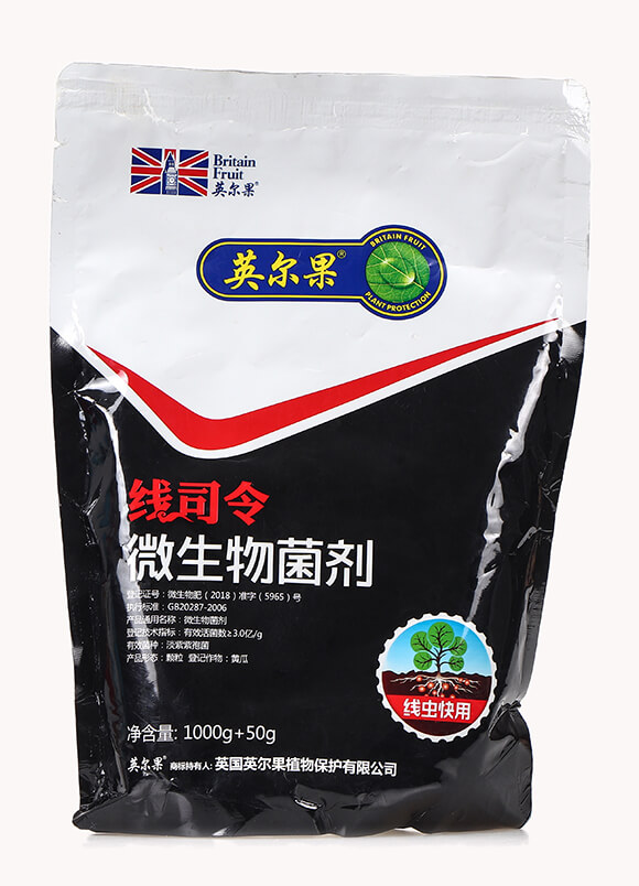 ���x����΢�������-��˾��-Ӣ����4