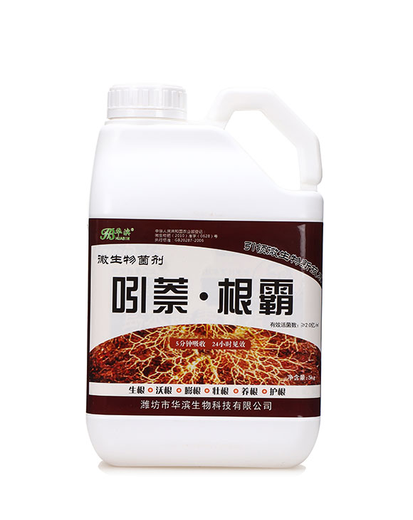 ��������-�A�I1