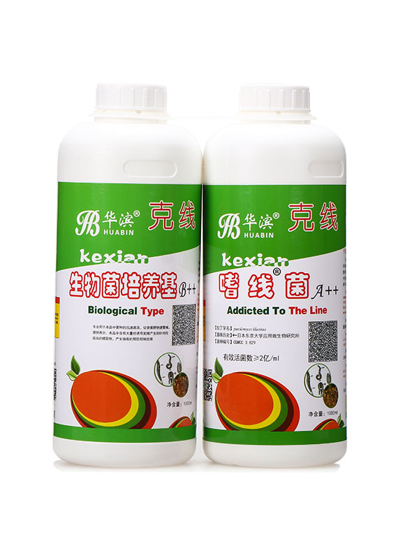 ��������B(y��ng)��+�Ⱦ���-�A�I1