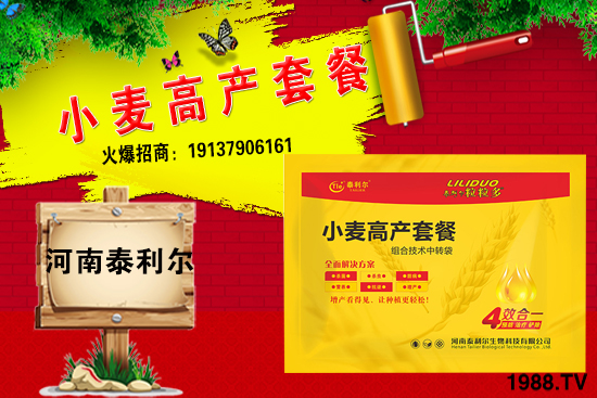 2021��2��С���r(ji��)�������A(y��)�y���߄ݷ���