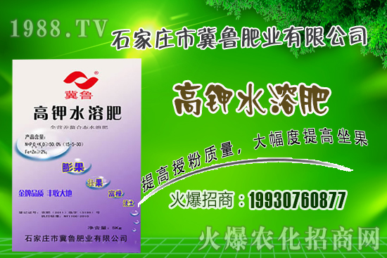 2021��2��4�վֲ������r����