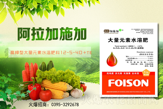 2月6日全國小麥報價！小麥價格突破1.57元/斤