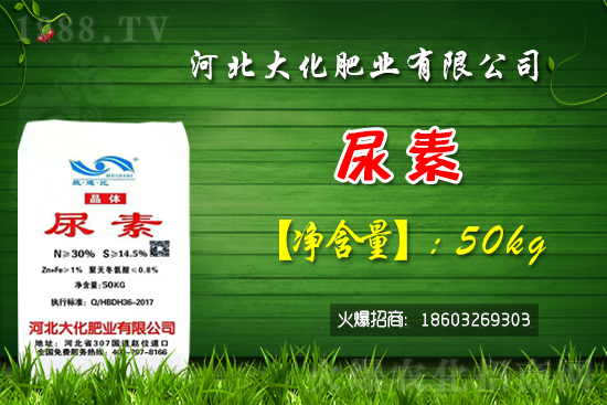 �t��������������Xһ�ã��Nֲǰ�������