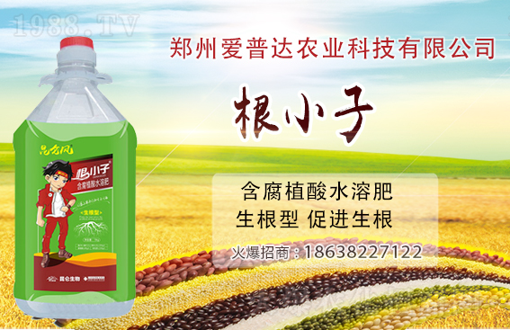 �ͺϷʈ�r���{80-100Ԫ/�������ՏͺϷʃr������һ�[