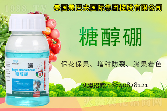 ���յ��ȶ����Xһ����2021�굾�ȃr(ji��)���Ƿ�߀��(hu��)�q��