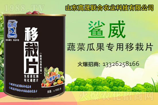 �����������������L(zh��ng)������...���߲˶�ֲ�ؿ�