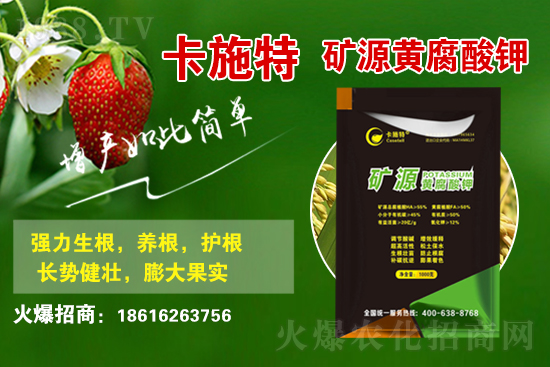 ���ջ����r(ji��)������Xһ����2021��3��19�ջ����r(ji��)������