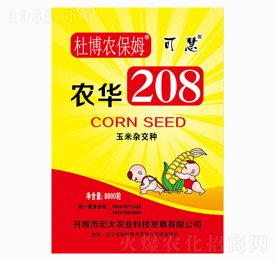 2021年玉米種子怎么選？2021年優(yōu)質(zhì)玉米種子推薦