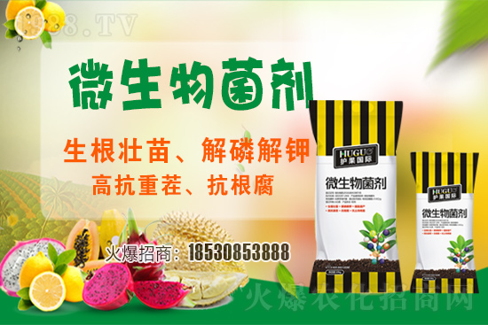 ��ݮ�����F(xi��n)���l���l(f��)������ҪԴ��ʲô������