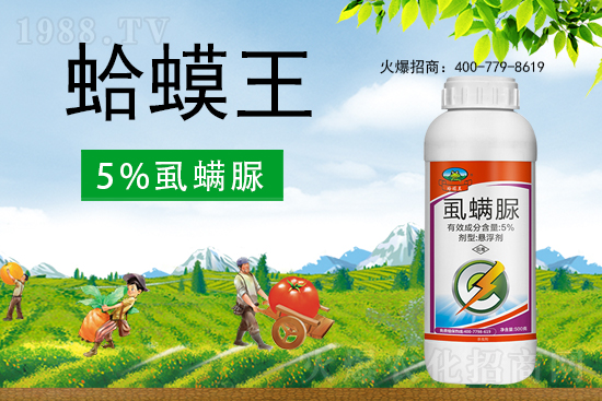 ʭ����������ô�ӣ����x���c(di��n)��ʲô��