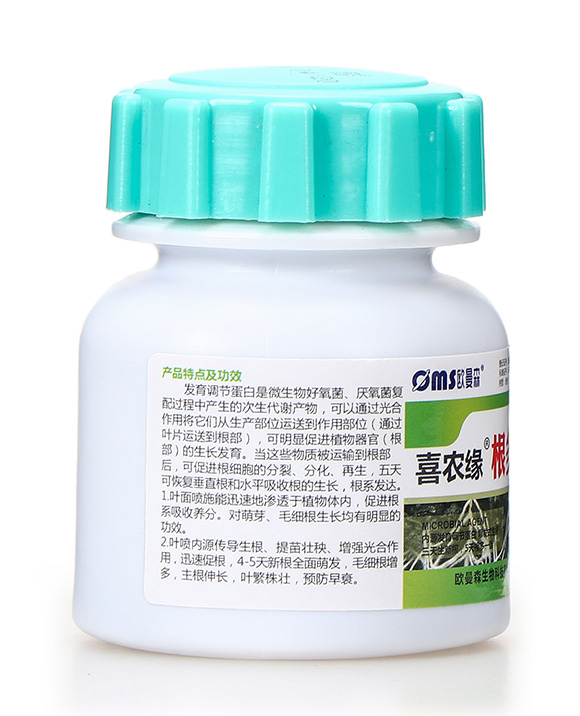 ���࿵-ϲ�r��-�W��ɭ6