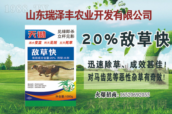 ���ݰ����݄��r���߄�2021.4.13